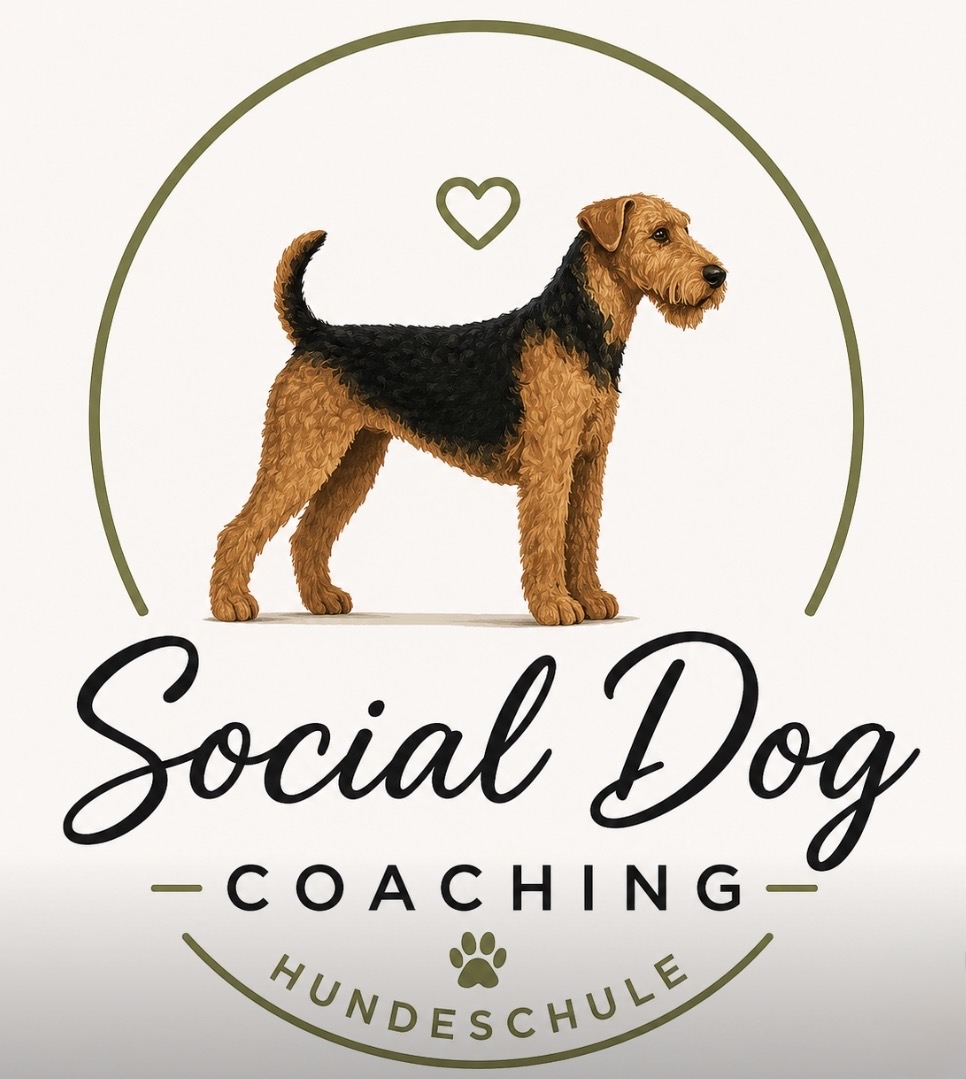 Social Dog Coaching